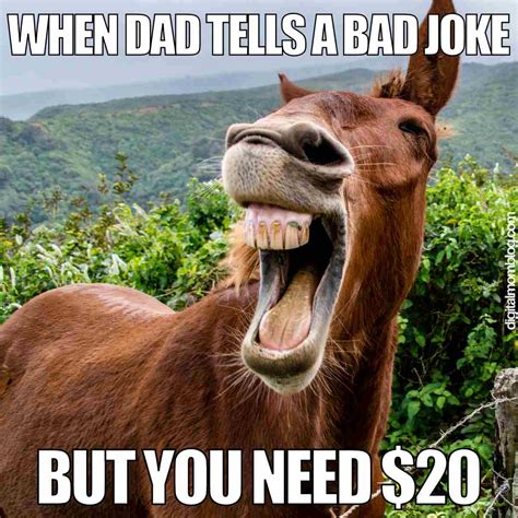 Dad Joke Memes