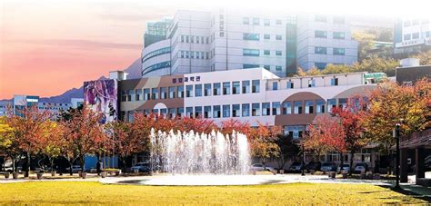 Daegu University Jurusan