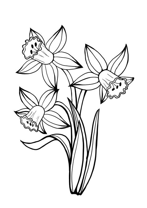 Daffodil Printable