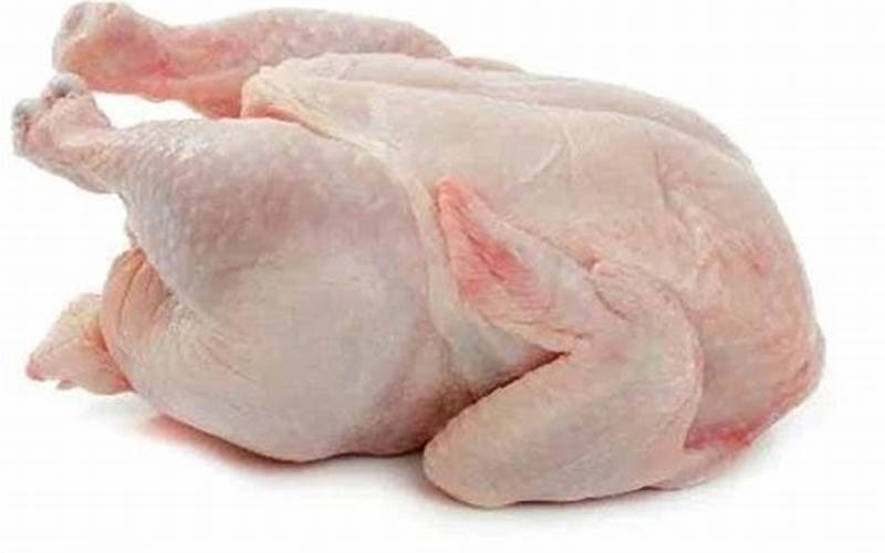Daging Ayam Segar Dari Suplier Ayam