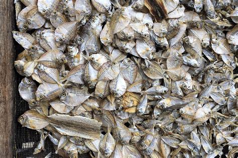 Dagupan is different