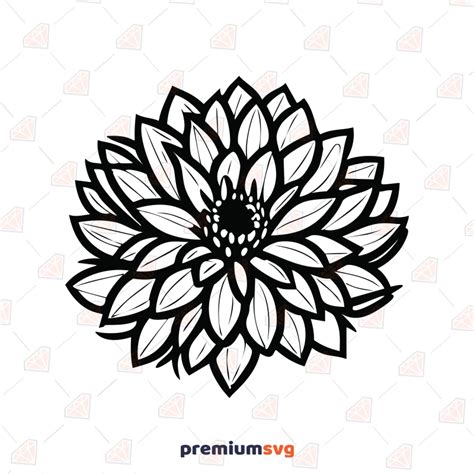 71+ Dahlia SVG, Dahlia SVG, Download Dahlia SVG For Free 2019. Dahlia Flower SVG, Flower SVG, Dahlia Flower Clipart, Dahlia