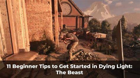 Daily Beast: A Beginner-Friendly Walkthrough