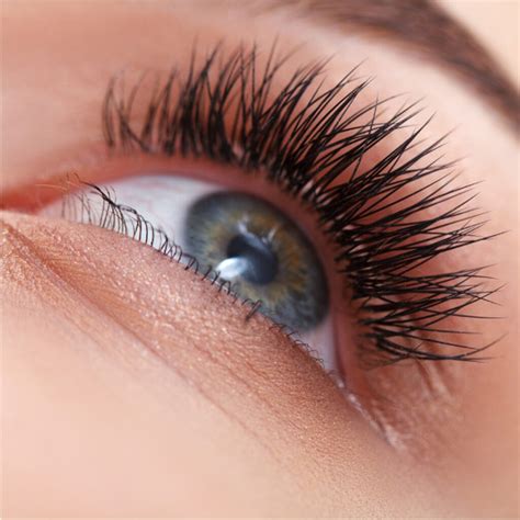 Daily Maintenance Tips for Long-Lasting Lashes
