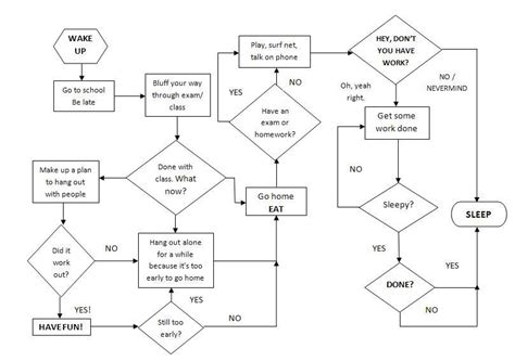Daily Routine Flowchart
