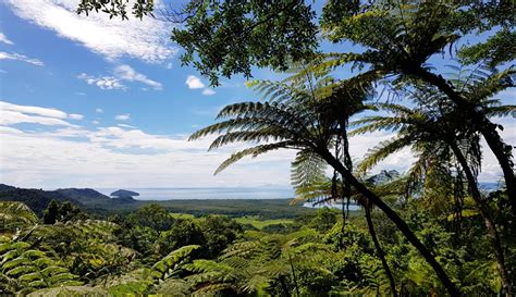 Daintree Alexandra Lookout