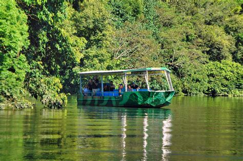 Daintree Crocodile Tour Operator