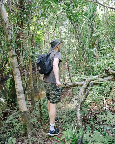 Daintree packing list