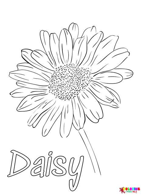 Daisy Color Page