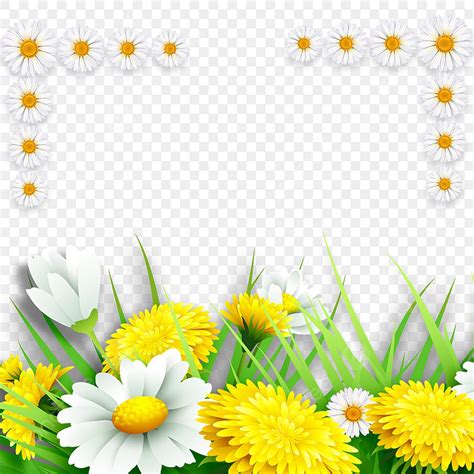 Download Daisy Flower Border Commercial Use Free PSD Mockups