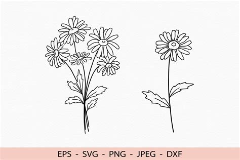 45+ Daisy With Stem SVG, Daisy Outline SVG Botanical Spring Flower Daisy Wall Art. Daisy With Stem SVG