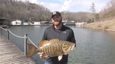 Dale Hollow Lake Fishing Report
