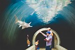 Dallas Aquarium