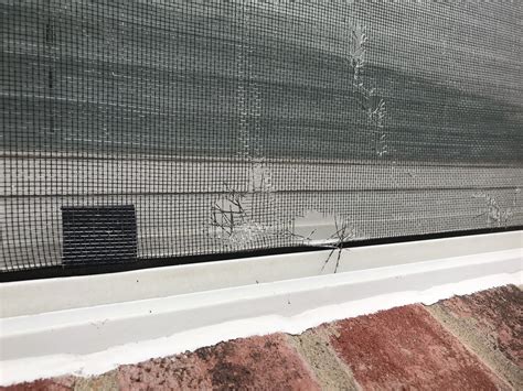 Damaged Window Screen Repair