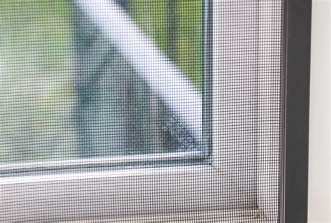 Damaged Window Screen Repair La Mesa