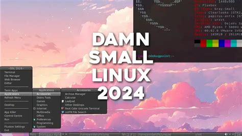 Damn Small Linux 2024 vs Tiny Windows 11