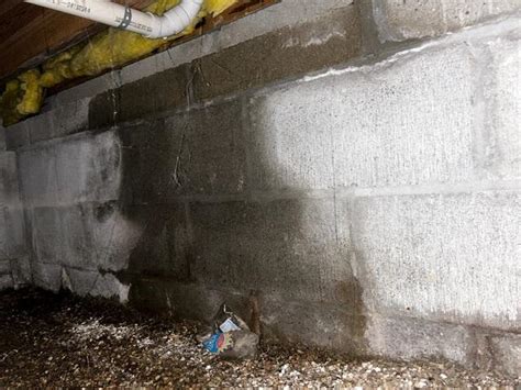 Damp crawl space with mold