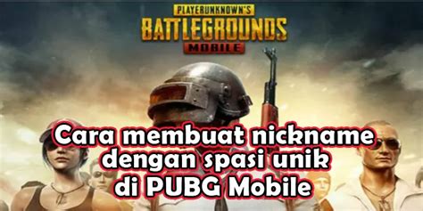 Dampak Negatif Penggunaan Nickname SARA di PUBG