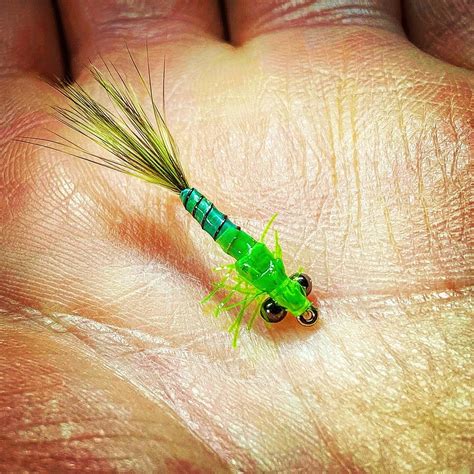 Damselfly Nymph Pattern