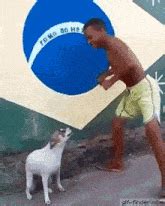 Dancing Brazil Dog Meme