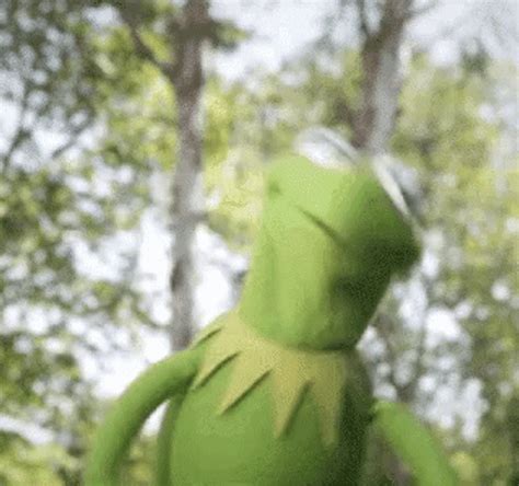 Dancing Kermit GIF: Conclusion