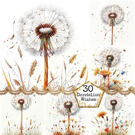 Download Dandelion Bundle Commercial Use For Crafts