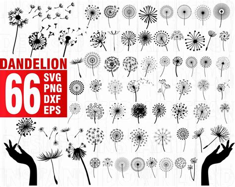 Download Dandelion Bundle Cut Files