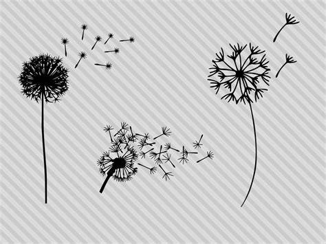 Download Dandelion Bundle Silhouette DXF Files