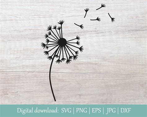 53+ Dandelion Flower SVG, Cute Dandelion Flower SVG Dandelion SVG Garden Plant. Floral Clipart SVG Dxf Dandelion Vector Digital File SVG Dandelion