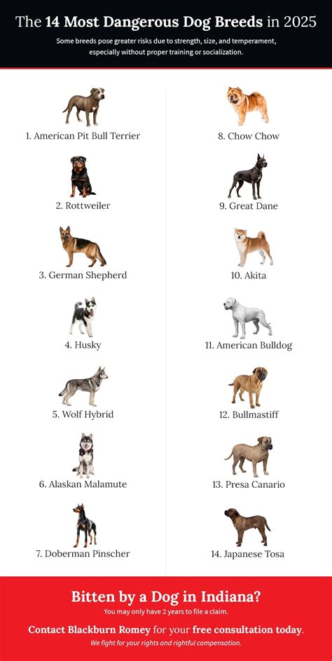 Dangerous Dog Declarations and Consequences