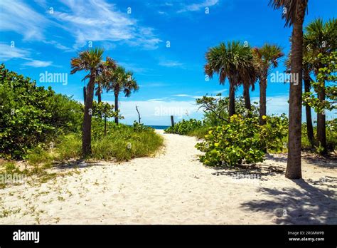 Dania Beach Landscape