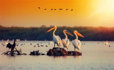 Danube Delta Travel Tips