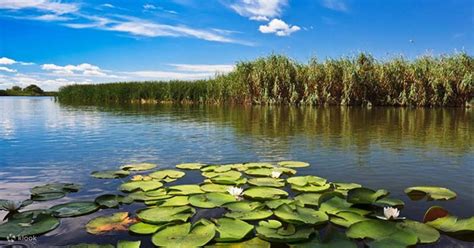 Danube Delta different tour options