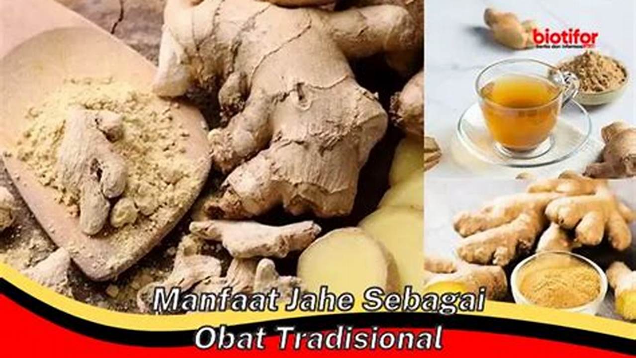 Dapat Digunakan Sebagai Obat Tradisional, Manfaat