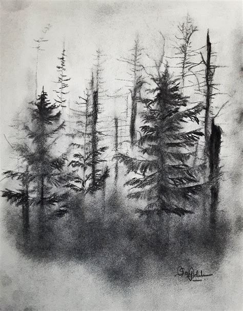 Dark Forest Drawings