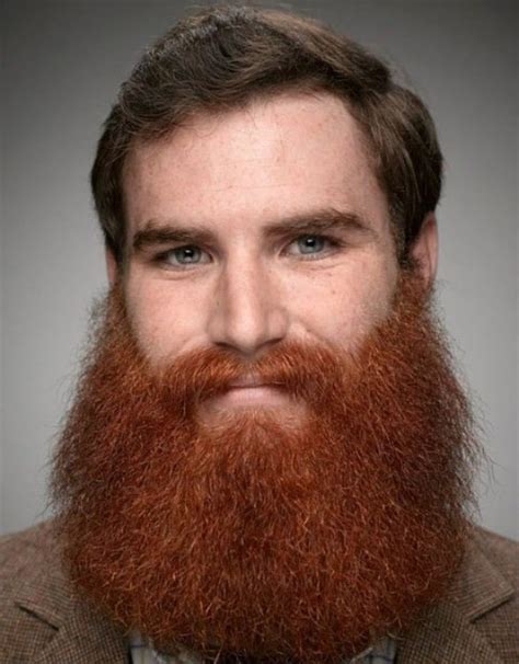 Dark Hair Red Beard