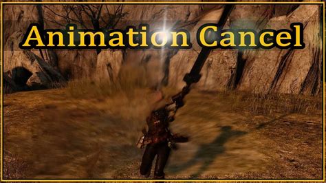 Master the Art of Dark Souls 2 Animation Cancel for Enhanced Gameplay Experience