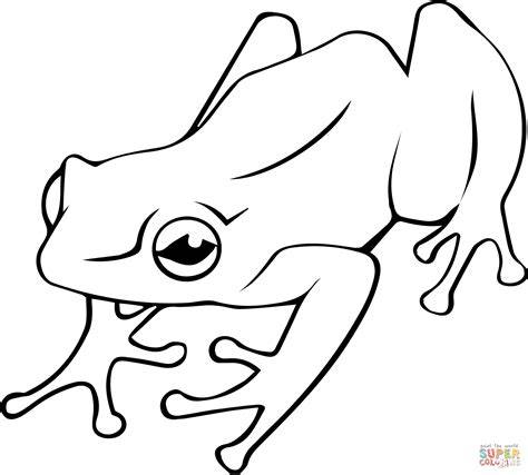 Dart Frog Coloring Page