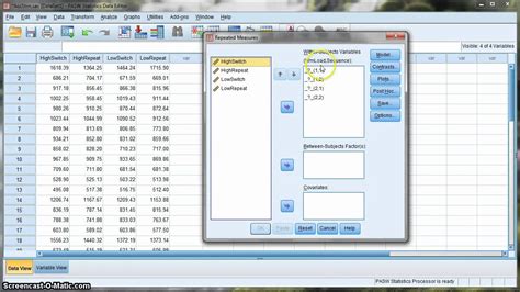 Data Preparation and Input in SPSS