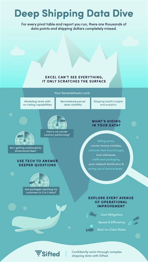 Data Deep Dive: Comparing Popular Lavender Shampoo Types