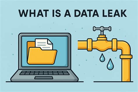 Data Leak take to be invalidate