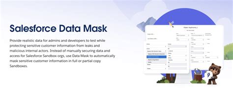 Data Mask Salesforce