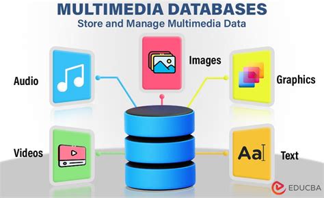 Data Multimedia