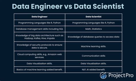 Data Software Engineer vs. Data Scientist: Clarifying the Confusion