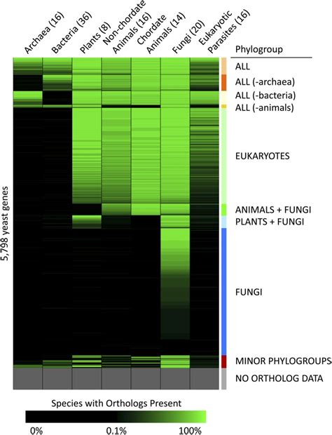Data points grouped into distinct categories