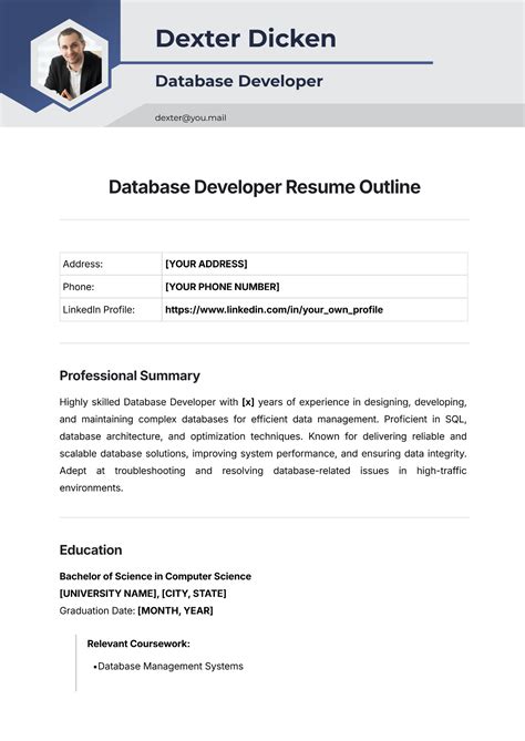Database Developer Resume Template