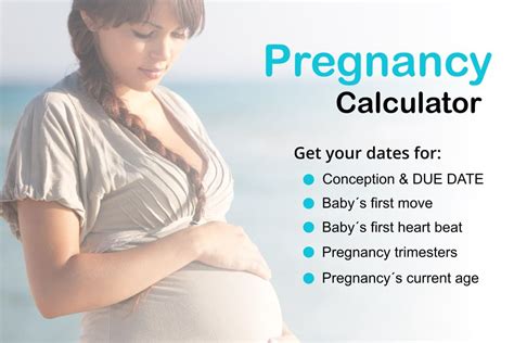 Date Of Conception Calculator