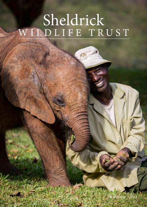 David Sheldrick Trust Tips