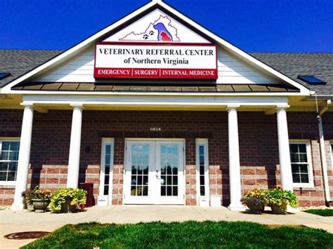 Expert Care and Compassionate Service: Davis Ford Animal Hospital - Your Trusted Local Vet