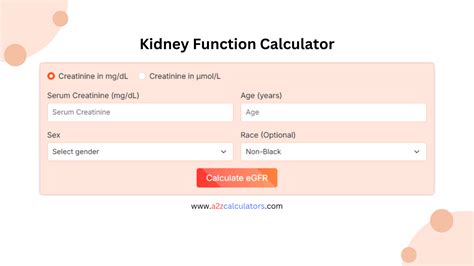 Davita Kidney Function Calculator